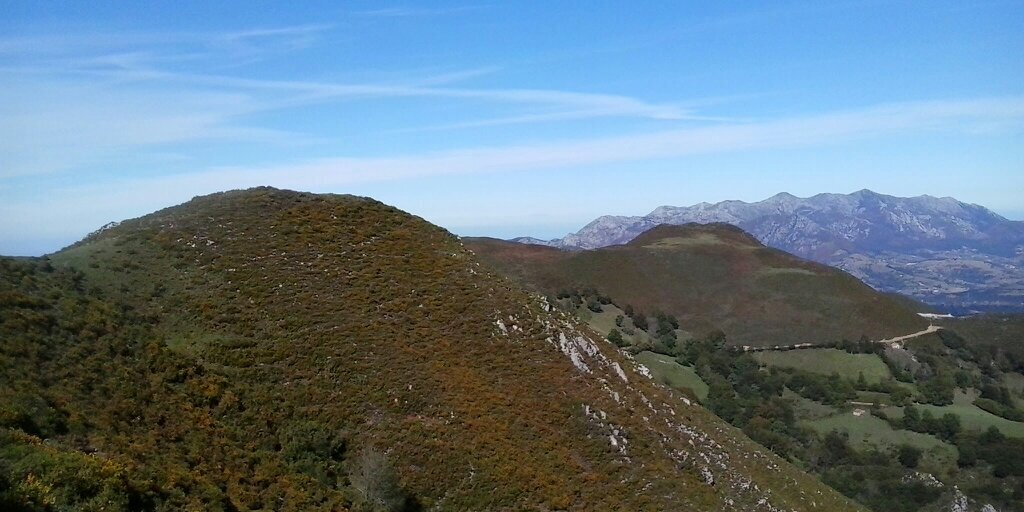 fernando inchausti banner