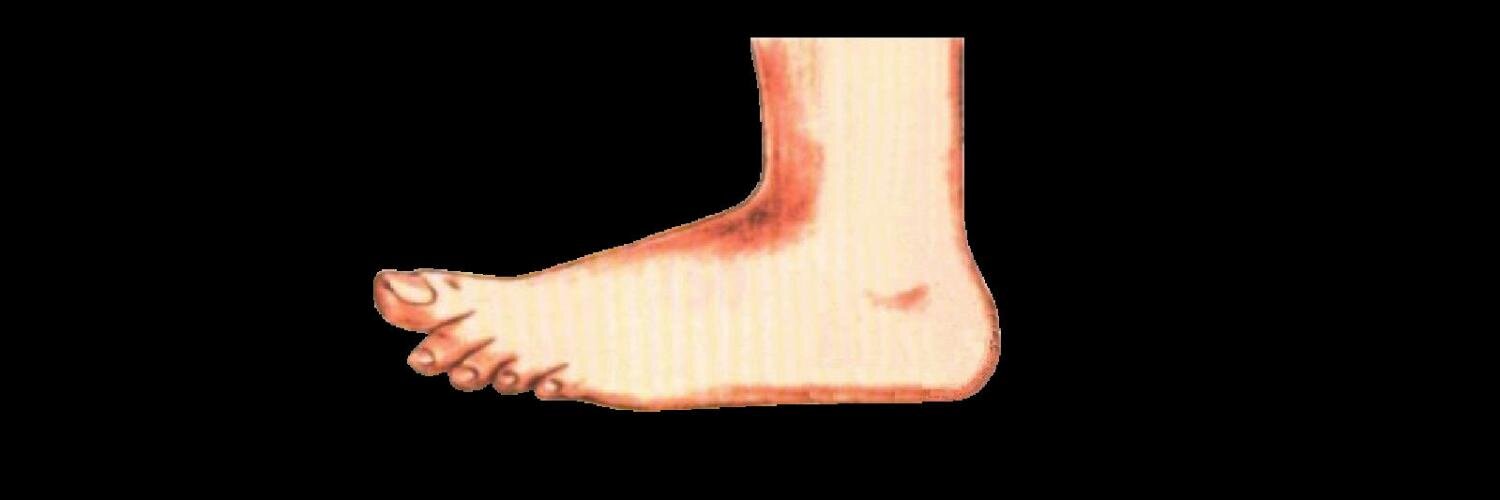 David de la Fuente banner