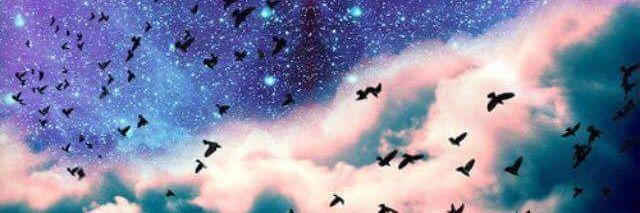 5SOSplease_0's profile banner image