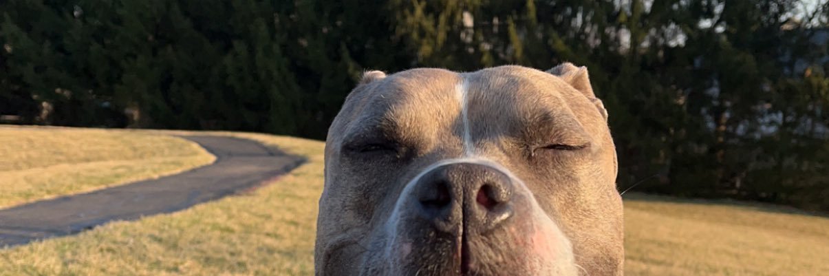 MarieAShanahan's profile banner image