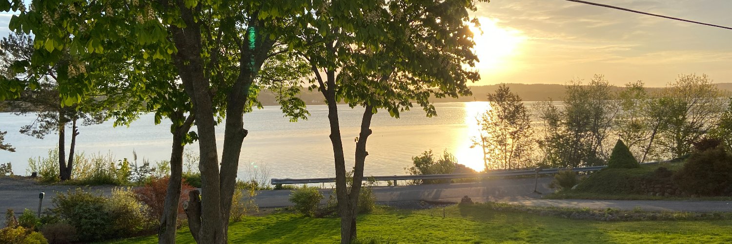 nemirova's profile banner image