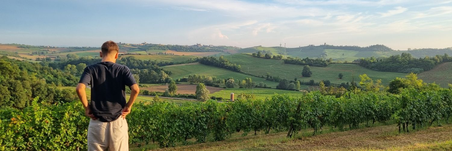 Daniele Bellasio banner