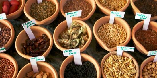 CLESeedBank's profile banner image