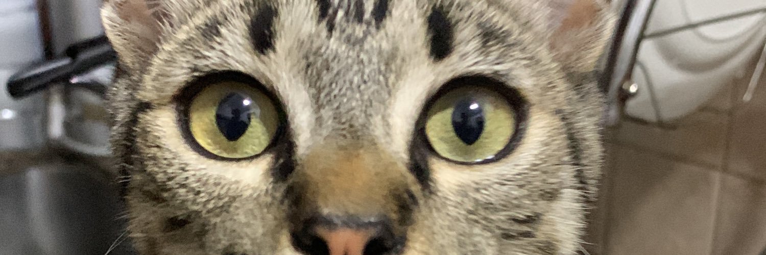 soficanopi's profile banner image