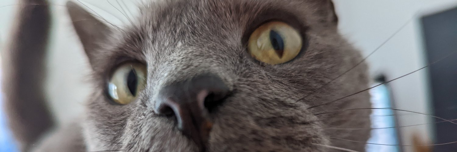 coolsneakyben's profile banner image
