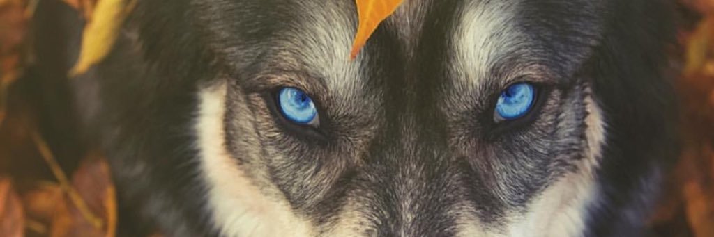 RemeTv's profile banner image