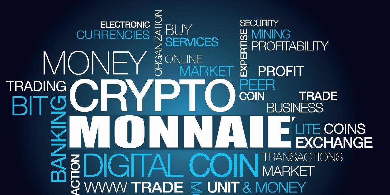 Cryptomonnaie's profile banner image