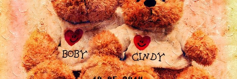 Cindy Liem banner