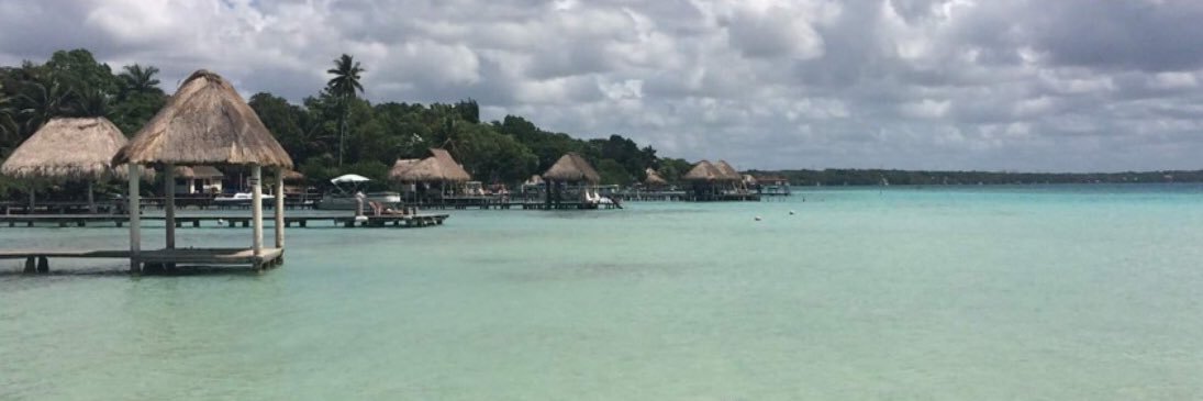 Jackie Bushell banner