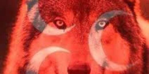 cnkrdl's profile banner image