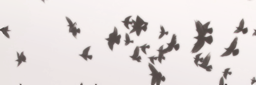 StayStrong_ilya's profile banner image