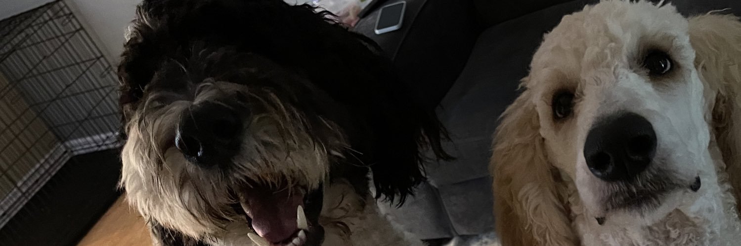 Joshua Vermette banner