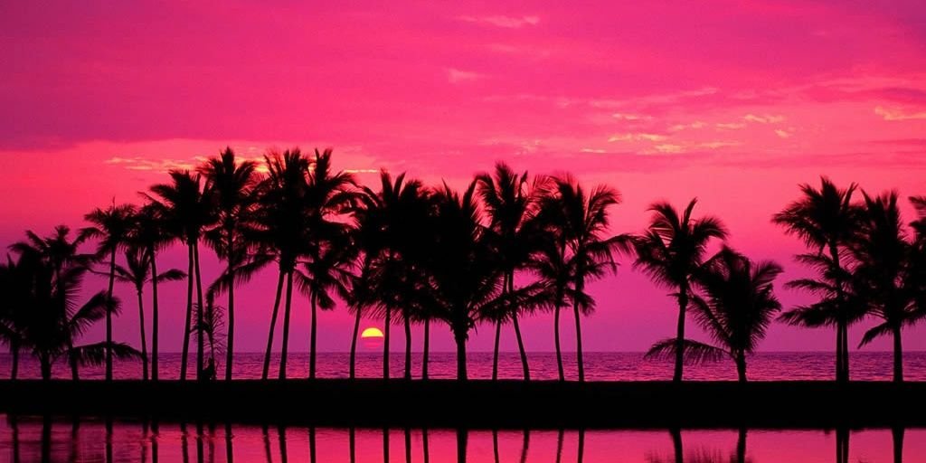analaramed's profile banner image