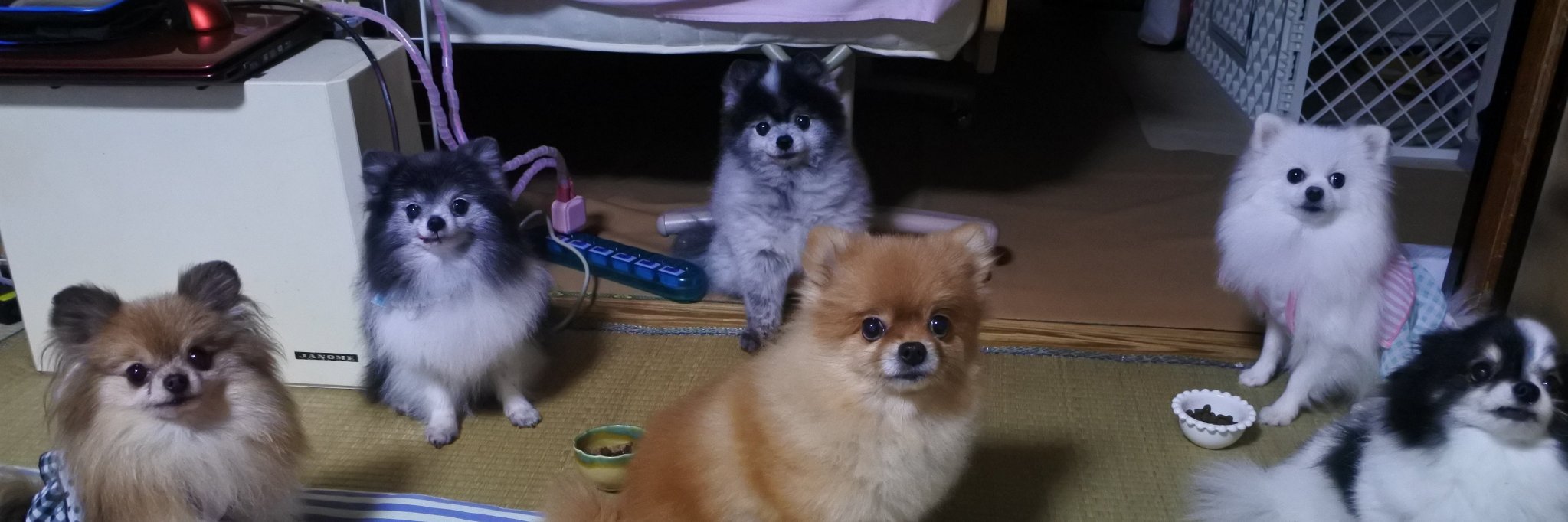 hai10huu's profile banner image