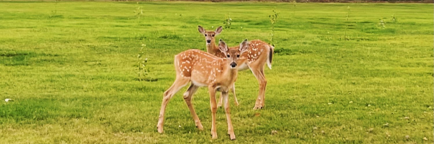 jessigermainee's profile banner image