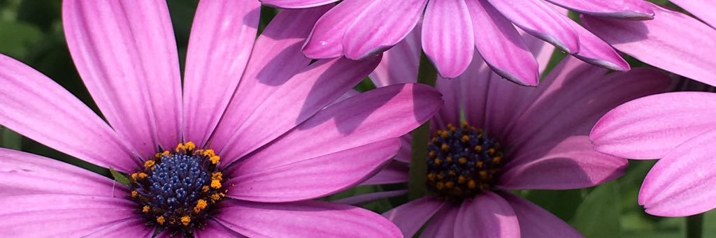 AaiteMk's profile banner image