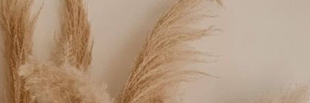 LexBasically's profile banner image