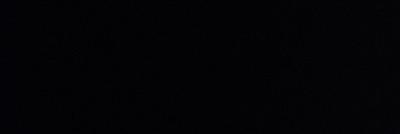 BVSEDLOYAL's profile banner image