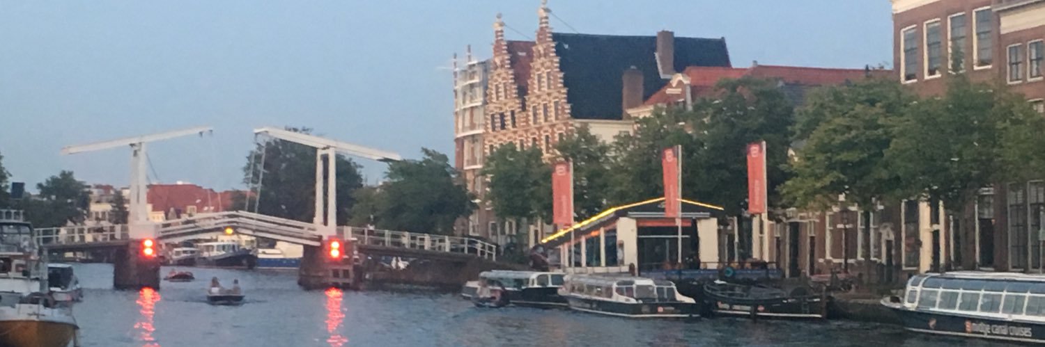 Liz C Driessen FCCT banner