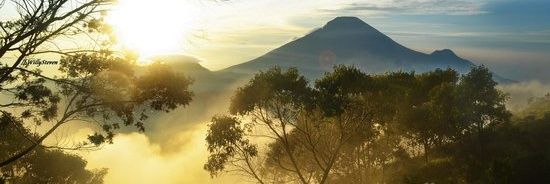arwanwied's profile banner image