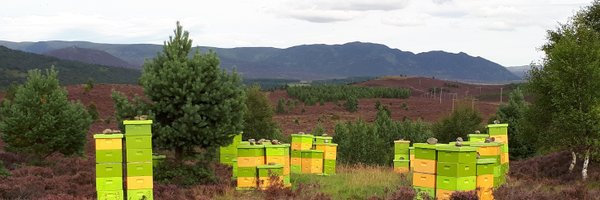 calluna4u Profile Banner