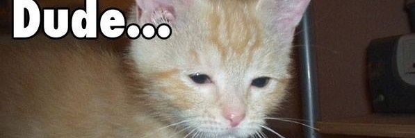 eetheeree's profile banner image