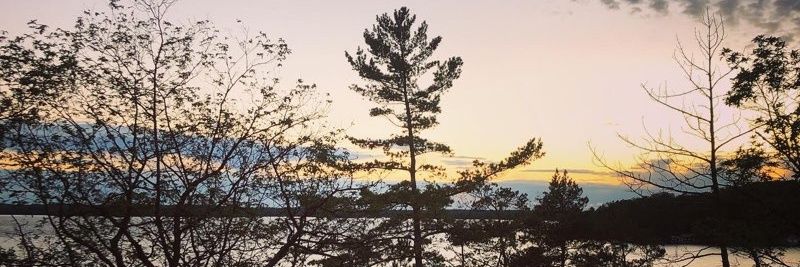 bethsummers29's profile banner image