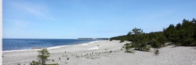 BostrandKarin's profile banner image