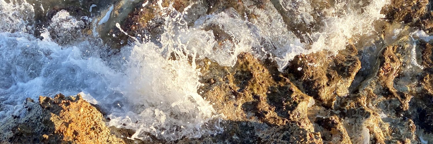 vdevittorr's profile banner image