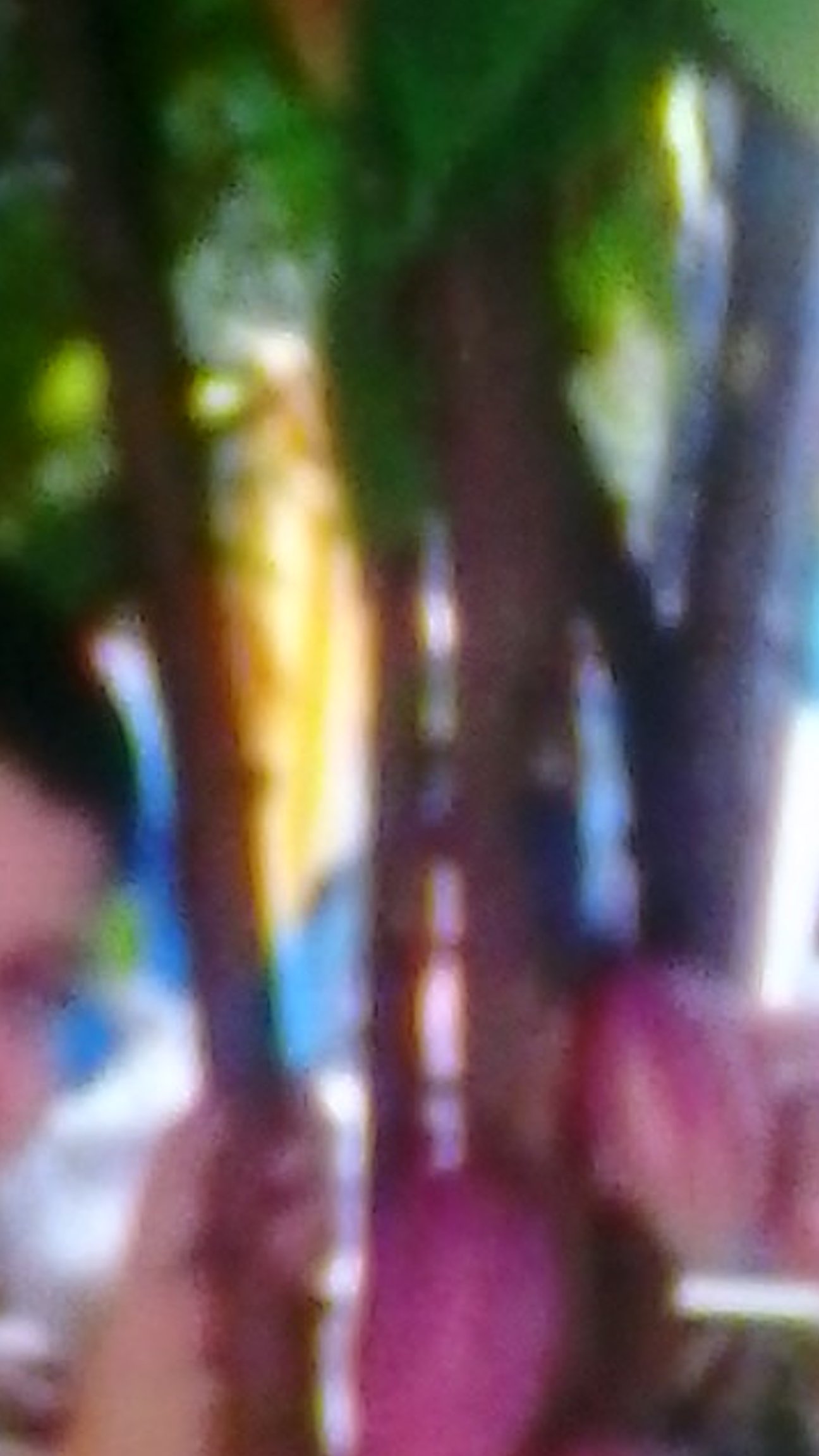 Mariocelexe's profile banner image