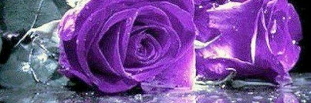 reth_marion's profile banner image