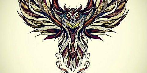 Jenius_2015's profile banner image