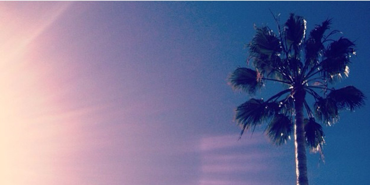 ritadtla's profile banner image