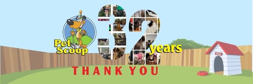 petscoop's profile banner image