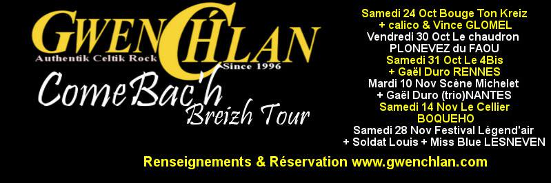 Gwenchlan2015's profile banner image