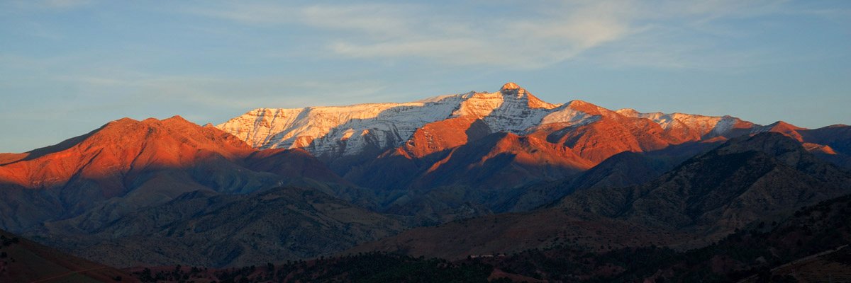 SurveySchool's profile banner image