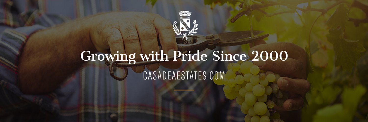 casadeawinery's profile banner image
