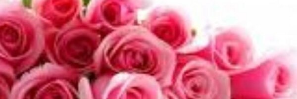velea_anil Profile Banner