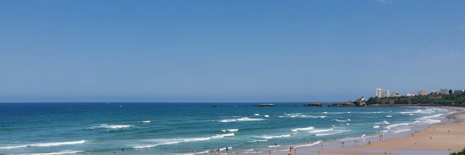 Alexandre Domingues banner