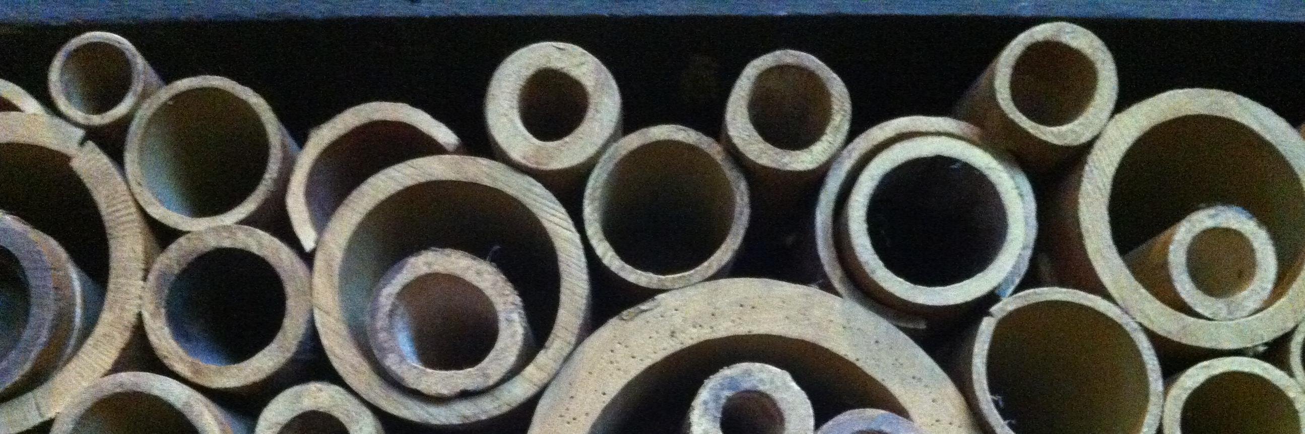 Evhen Farmiga banner