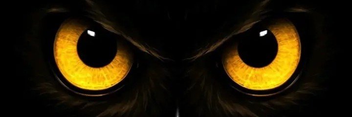 Raythesean's profile banner image