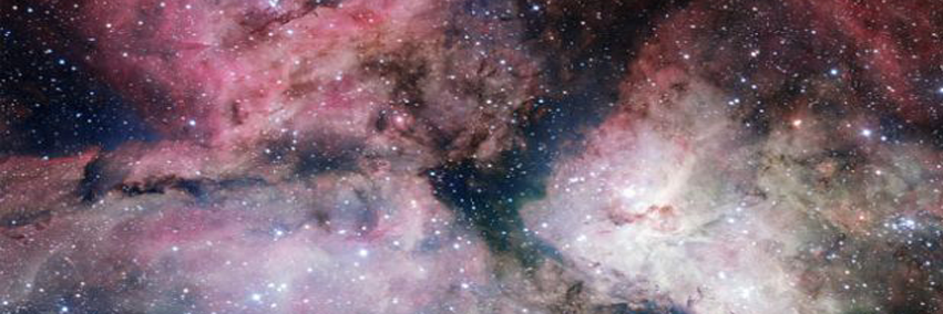 lacataflora's profile banner image