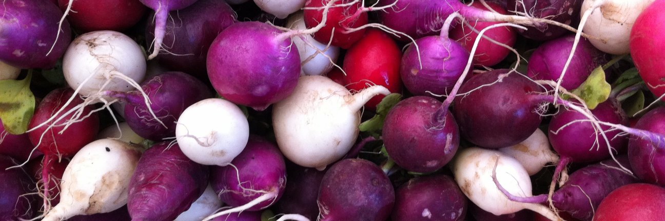 Moss St. Market banner