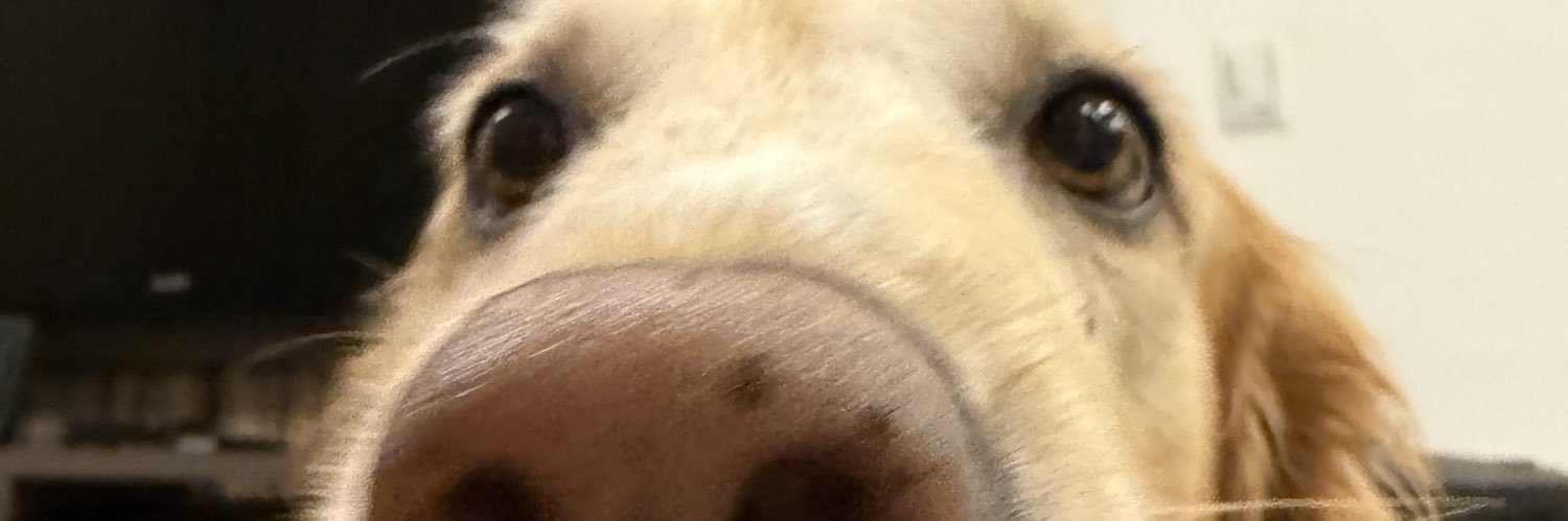 Cmacedoj's profile banner image