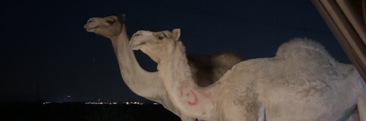 aubses_'s profile banner image