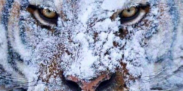 dimayegt's profile banner image