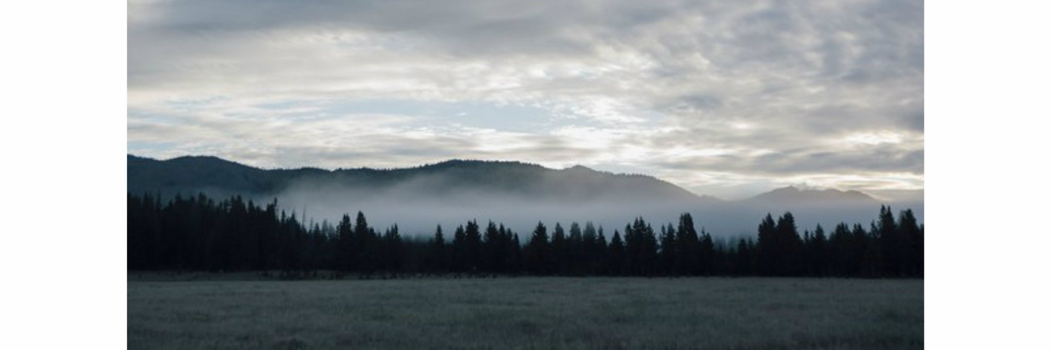 bediamx's profile banner image