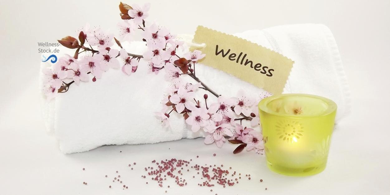 WellnessStock's profile banner image