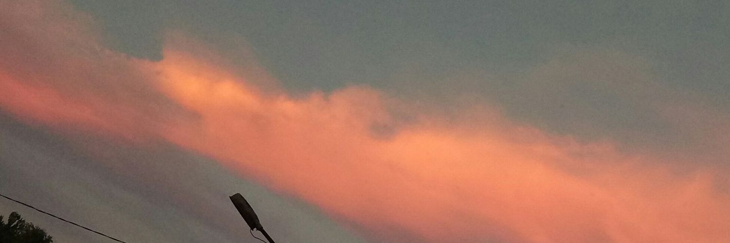 vika_343's profile banner image
