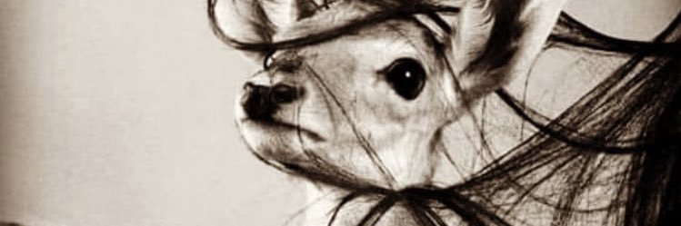 mohrah_1111's profile banner image